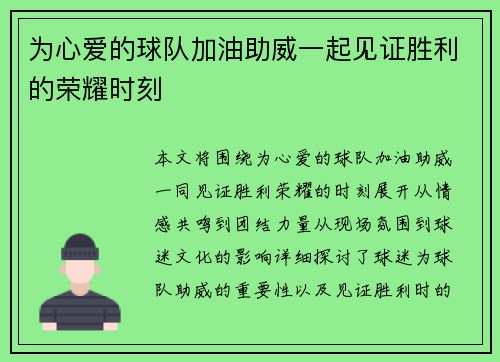 为心爱的球队加油助威一起见证胜利的荣耀时刻