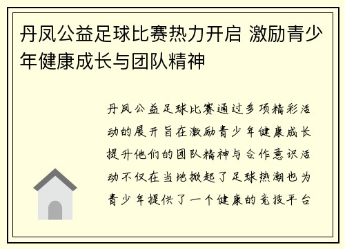 丹凤公益足球比赛热力开启 激励青少年健康成长与团队精神