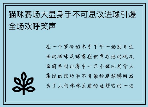 猫咪赛场大显身手不可思议进球引爆全场欢呼笑声