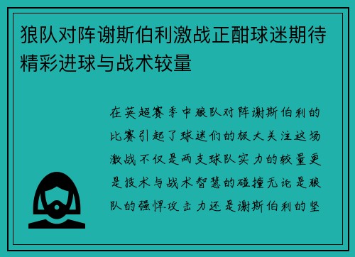 狼队对阵谢斯伯利激战正酣球迷期待精彩进球与战术较量